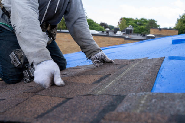 Best Commercial Roofing Services  in Winfield, IA
