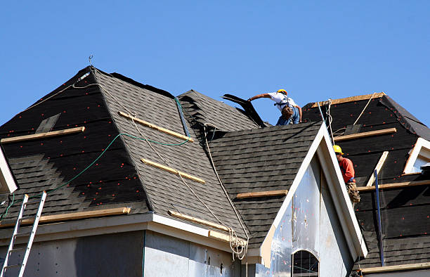Best Metal Roofing Contractor  in Winfield, IA