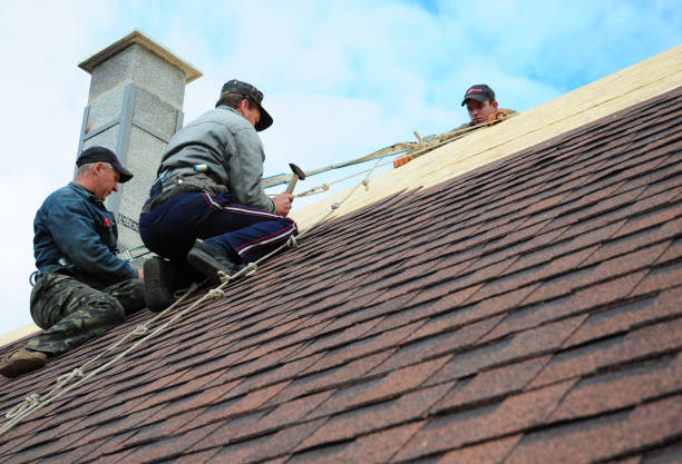 Quick and Trustworthy Emergency Roof Repair Services in Winfield, IA